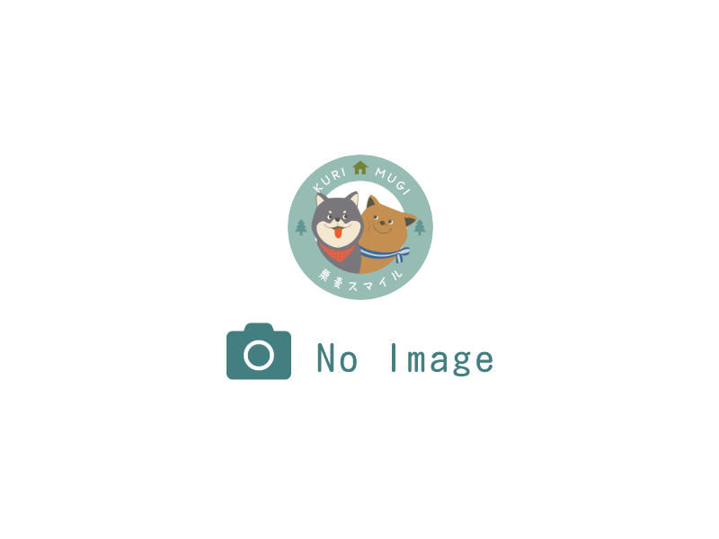 草むしり（手作業）