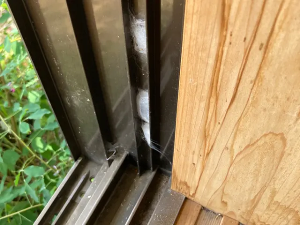 窓・サッシのお掃除