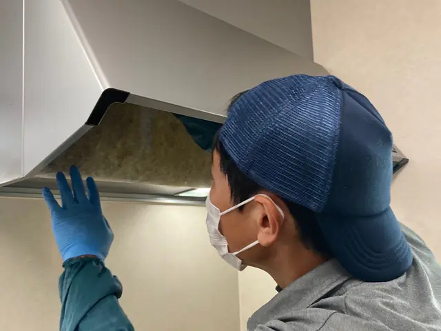 レンジフード（換気扇）クリーニング / レンジフードタイプ