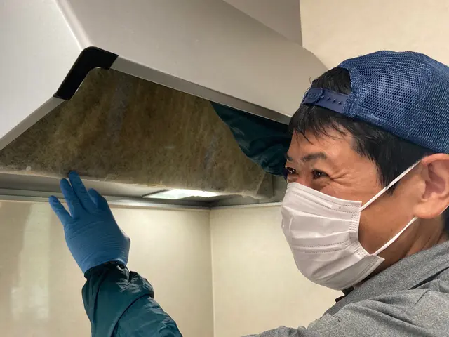 レンジフード（換気扇）クリーニング / レンジフードタイプ